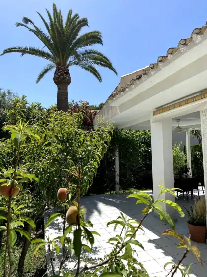 Holiday rentals in Villa jardín botánico, Orihuela Costa