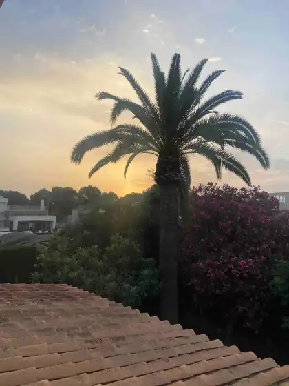 Holiday rentals in Villa jardín botánico, Orihuela Costa