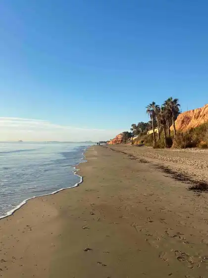 Holiday rentals in Villa jardín botánico, Orihuela Costa