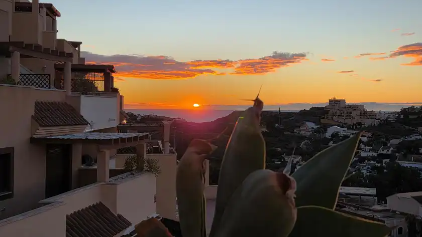 Alquiler vacacional en Casa lijffijt, Todosol