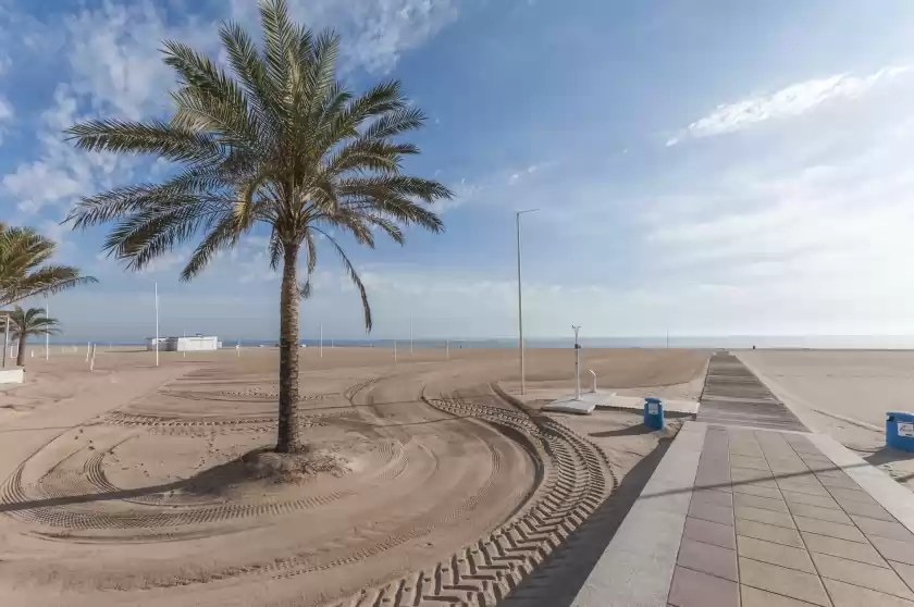 Holiday rentals in Nenufar, Grau i Platja