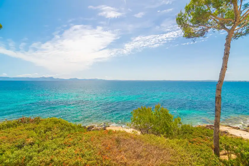 Alquiler vacacional en Ventall, Port d'Alcúdia