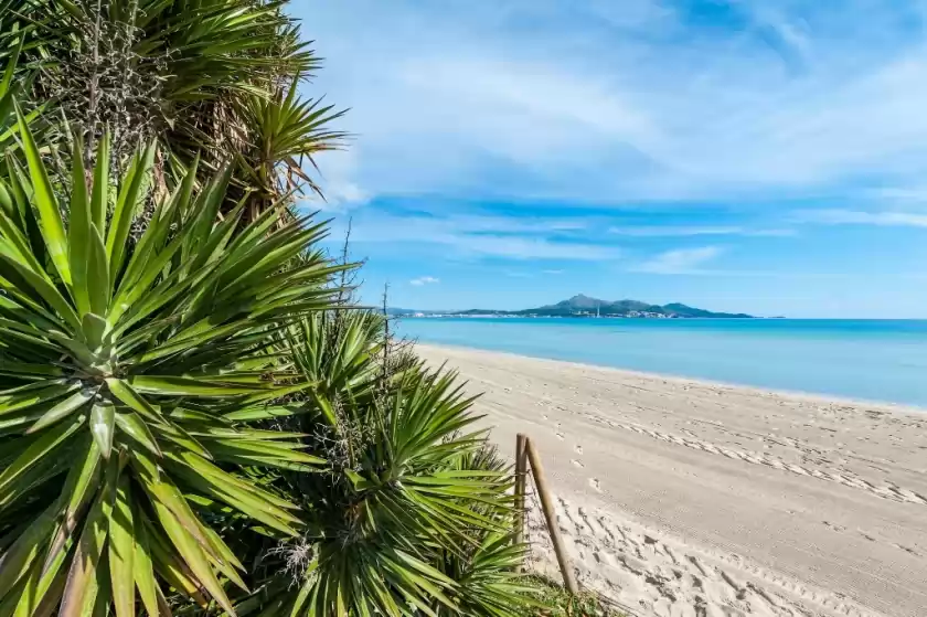 Alquiler vacacional en Bella, Port d'Alcúdia