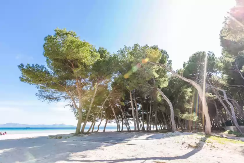 Alquiler vacacional en Pinya, Port d'Alcúdia