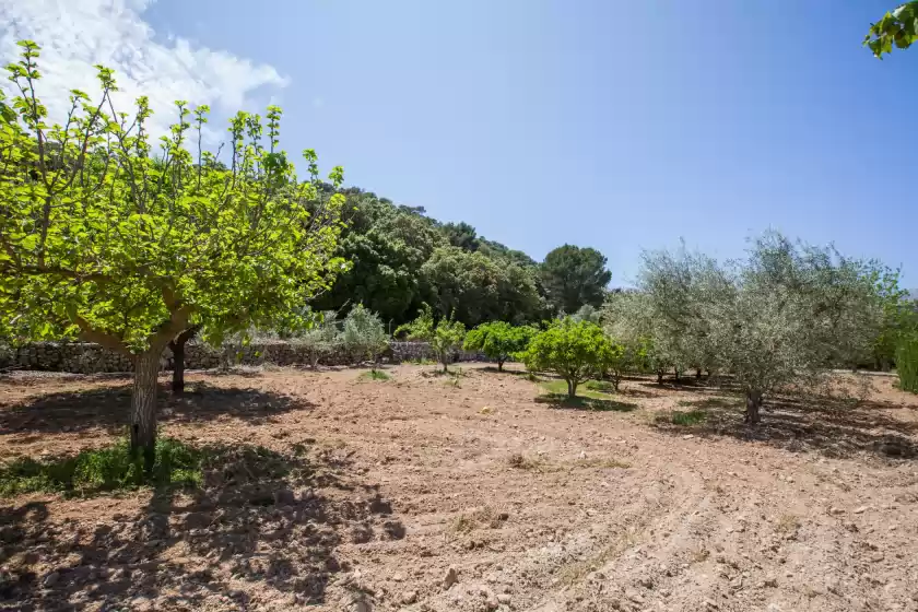 Alquiler vacacional en Can torres (can torres nou), Pollença