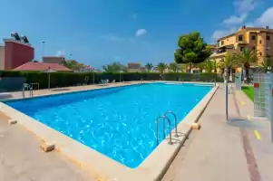 Perseo - Holiday rentals in Torrevieja