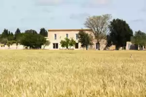 Secretari - Ferienunterkünfte in Montuïri