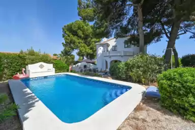 La gaviota