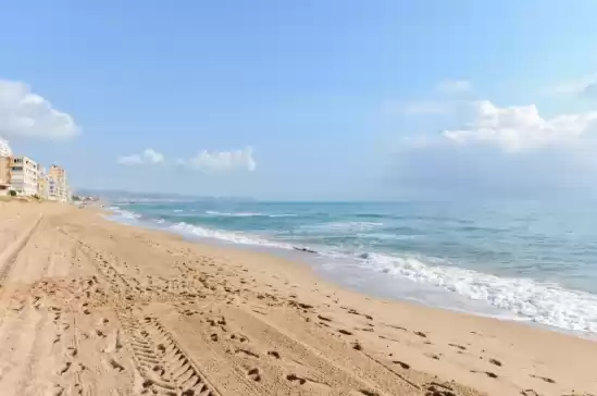 Turia en El Brosquil, Cullera, Valencia, Comunitat Valenciana, España