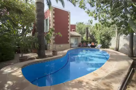 Don pedro en la Xara, Dénia, Alicante, Comunitat Valenciana, España