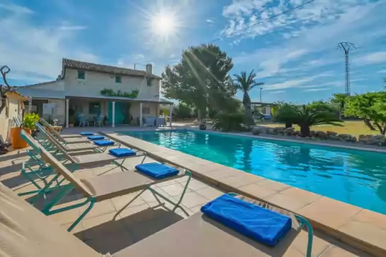 Lalau à Ondara, Alicante, Comunitat Valenciana, España