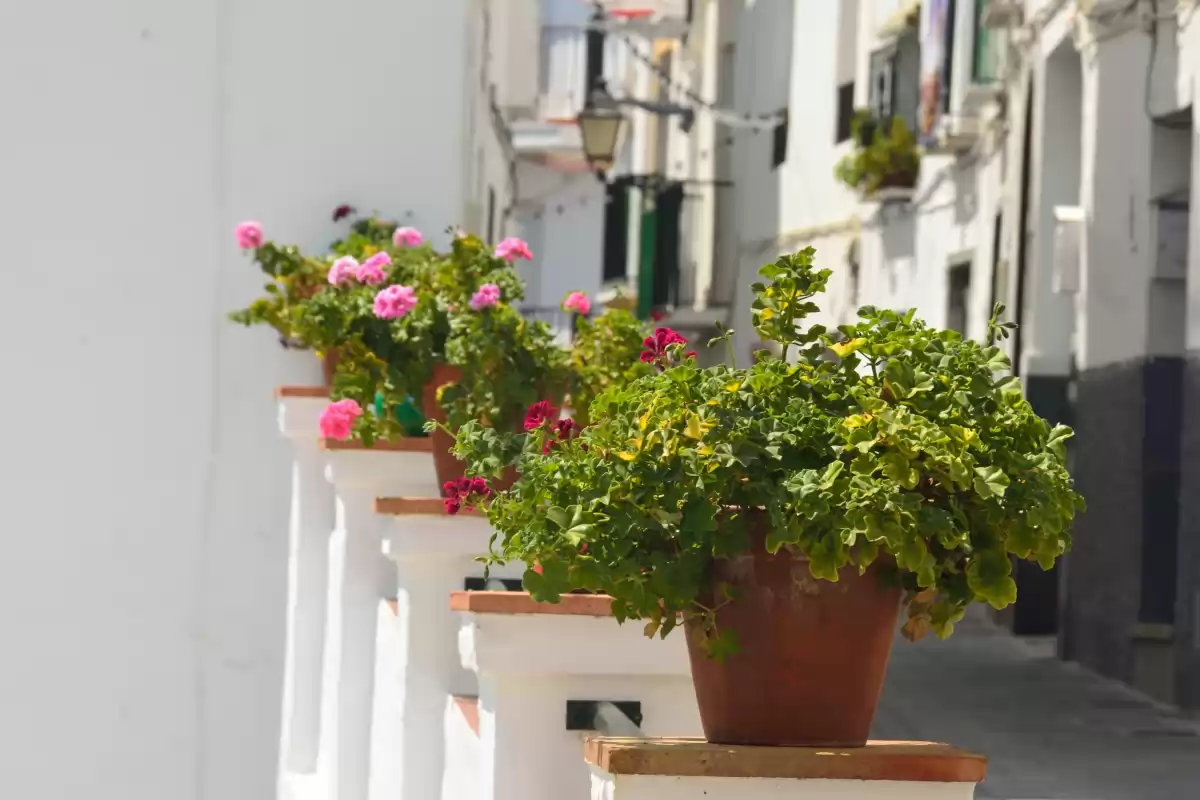Tolox, Málaga