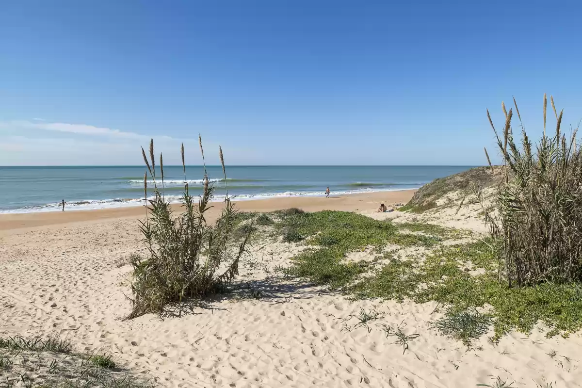 Playa de Aguadulce, Cádiz