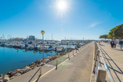 Palma en familia, Vacalia.com