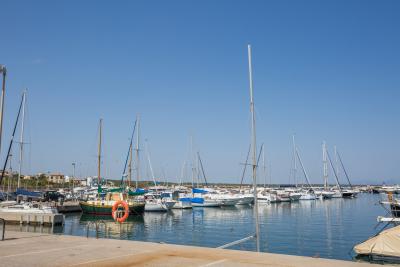 Colònia de Sant Pere, Vacalia.com
