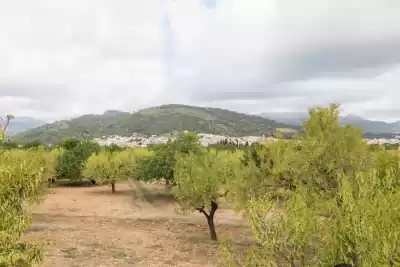 Alquiler vacacional en Lloseta, Mallorca