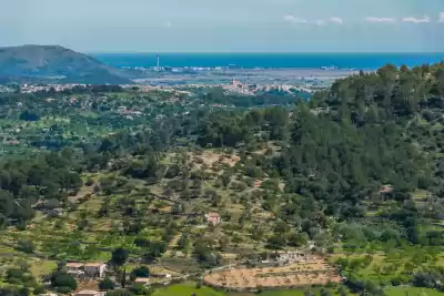 Ferienunterkünfte in Mancor de la Vall, Mallorca