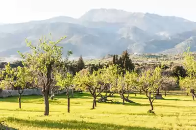 Selva, Mallorca