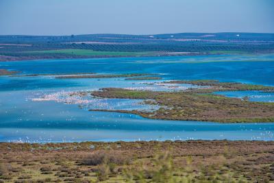 Las Lagunas con barbacoa, Vacalia.com