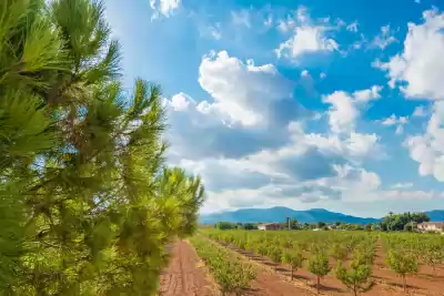 Alquiler vacacional en Marratxí, Mallorca