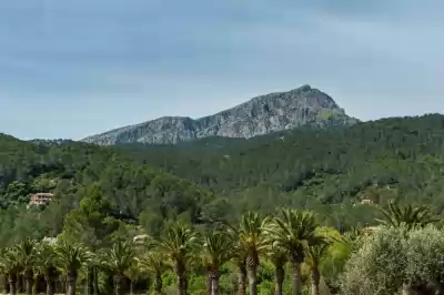 Puigpunyent, Mallorca