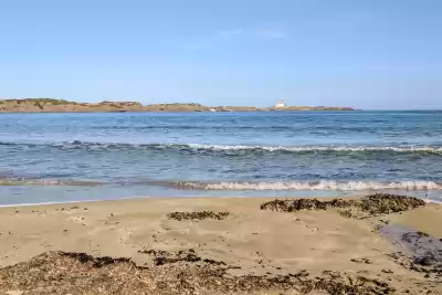 Platja d'en Tortuga, Menorca